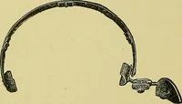 An illustration from A text-book of diseases of the nose and throat (1904)
