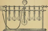 An illustration from A text-book of diseases of the nose and throat (1904)