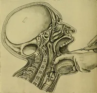 An illustration from A text-book of diseases of the nose and throat (1904)