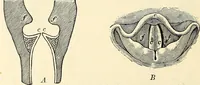 An illustration from Text-book of general physics, for the use of colleges and scientific schools (1899)