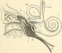 Picture 204 of 262 from Text-book of general physics, for the use of colleges and scientific schools (1899), leaf 596