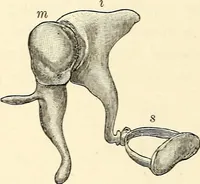 An illustration from Text-book of general physics, for the use of colleges and scientific schools (1899)