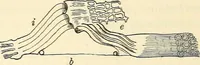 An illustration from Text-book of general physics, for the use of colleges and scientific schools (1899)