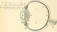 An illustration from Text-book of general physics, for the use of colleges and scientific schools (1899)
