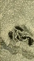 An illustration from A text-book of general astronomy : for colleges and scientific schools (1888)