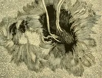An illustration from A text-book of general astronomy : for colleges and scientific schools (1888)