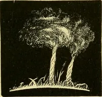 An illustration from A text-book of general astronomy : for colleges and scientific schools (1888)