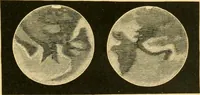 An illustration from A text-book of general astronomy : for colleges and scientific schools (1888)