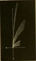 An illustration from A text-book of general astronomy : for colleges and scientific schools (1888)