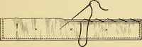 An illustration from A text-book of needlework, knitting and cutting out : with methods of teaching (1893)