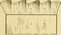 An illustration from A text-book of needlework, knitting and cutting out : with methods of teaching (1893)