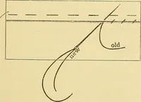 An illustration from A text-book of needlework, knitting and cutting out : with methods of teaching (1893)