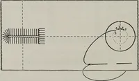 An illustration from A text-book of needlework, knitting, and cutting out : with methods of teaching (1893)