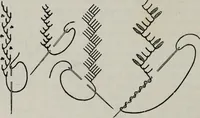 An illustration from A text-book of needlework, knitting, and cutting out : with methods of teaching (1893)