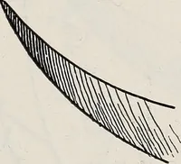 An illustration from A text-book of needlework, knitting, and cutting out : with methods of teaching (1893)