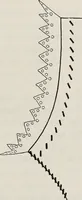 An illustration from A text-book of needlework, knitting, and cutting out : with methods of teaching (1893)