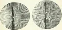 An illustration from A text-book of physics (1908)