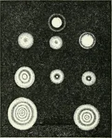 An illustration from A text-book of physics (1908)