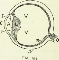 Picture 89 of 181 from A text-book of physics (1908), leaf 429