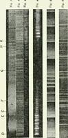 An illustration from A text-book of physics (1908)