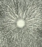 An illustration from A text-book of physics (1908)