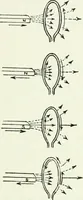 An illustration from A text-book of physics (1908)