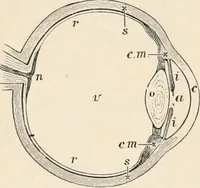 An illustration from A text book of physics, for the use of students of science and engineering (1918)