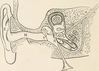 An illustration from A text book of physics, for the use of students of science and engineering (1918)