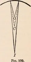 An illustration from A text-book of physics, largely experimental. On the Harvard college "Descriptive list of elementary physical experiments." (1891)