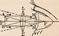 An illustration from A text-book of physics, largely experimental. On the Harvard college "Descriptive list of elementary physical experiments." (1891)
