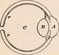 An illustration from A text-book of physics, largely experimental. On the Harvard college "Descriptive list of elementary physical experiments." (1891)