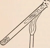 An illustration from A text-book of physics, largely experimental. On the Harvard college "Descriptive list of elementary physical experiments." (1891)