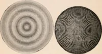 An illustration from A text-book of physics, largely experimental. On the Harvard college "Descriptive list of elementary physical experiments." (1891)