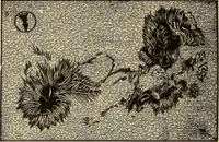 An illustration from Text-book of popular astronomy .. (1883)
