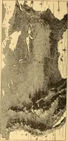 An illustration from Text-book of popular astronomy .. (1883)
