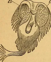 An illustration from A text-book on chemistry. For the use of schools and colleges (1866)