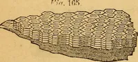 An illustration from A text-book on chemistry. For the use of schools and colleges (1866)