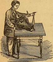 An illustration from A text-book on chemistry. For the use of schools and colleges (1866)