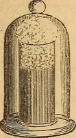 An illustration from A text-book on chemistry. For the use of schools and colleges (1866)