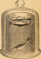 An illustration from A text-book on chemistry. For the use of schools and colleges (1866)