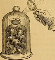 Picture 163 of 213 from A text-book on chemistry. For the use of schools and colleges (1866), leaf 265