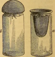 An illustration from A text-book on chemistry. For the use of schools and colleges (1866)