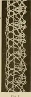 An illustration from A text book on Cluny and torchon laces (1904)