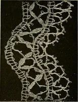 An illustration from A text book on Cluny and torchon laces (1904)