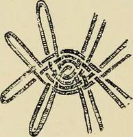 An illustration from A text book on Cluny and torchon laces (1904)