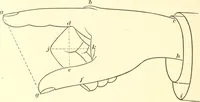 An illustration from A textbook on lettering and sign painting (1902)