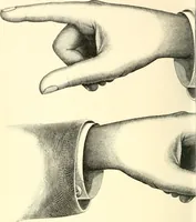 An illustration from A textbook on lettering and sign painting (1902)