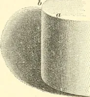 An illustration from A textbook on lettering and sign painting (1902)