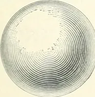 An illustration from A textbook on mechanical and electrical engineering (1898)