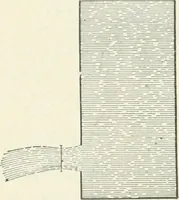 An illustration from A textbook on mechanical and electrical engineering (1898)